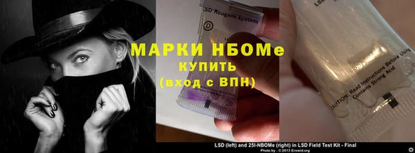 стаф Алексин