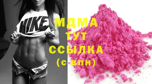 стаф Алексин