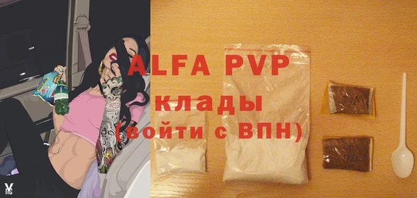 стаф Алексин