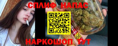 гашик Пыть-Ях