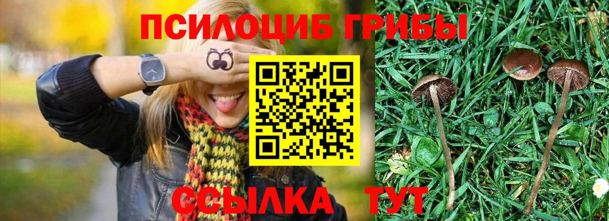 Псилоцибиновые грибы Psilocybine cubensis  Галлюциногенные грибы Magic Shrooms  Рубцовск  Вход с VPN 